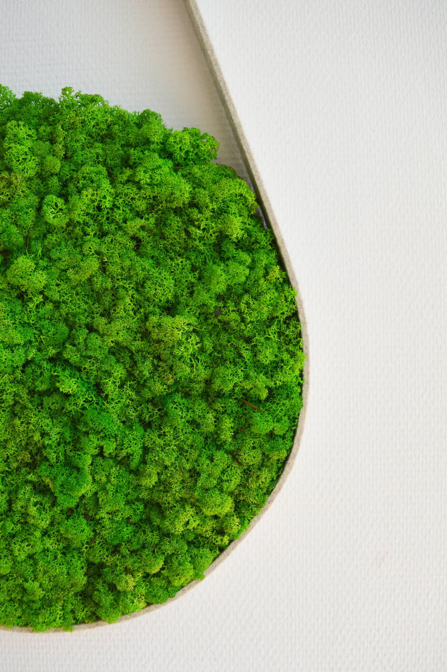 Belt Nordic Moss Wall Art - Image 12