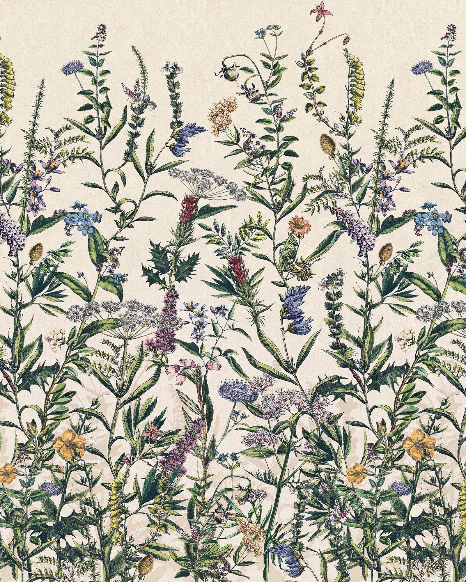 Flowering Herbs Mural Wallpaper - Image 2