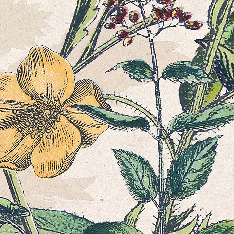Flowering Herbs Mural Wallpaper - Image 8