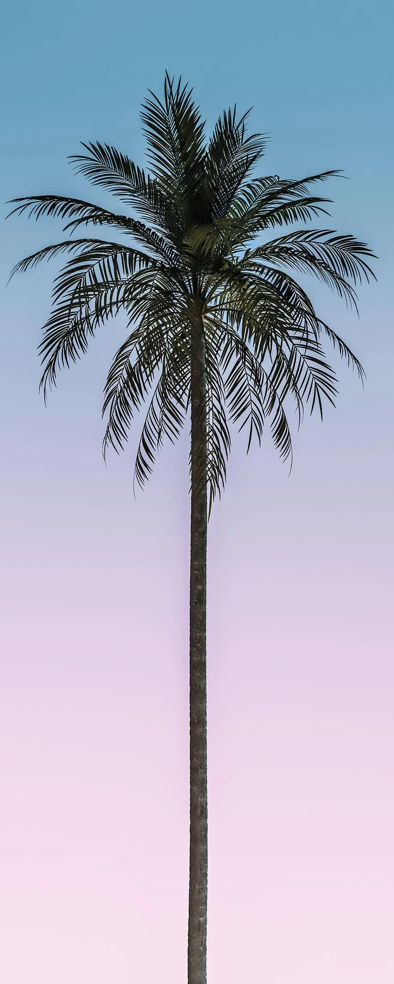 Skyhigh Mural Wallpaper - Image 5