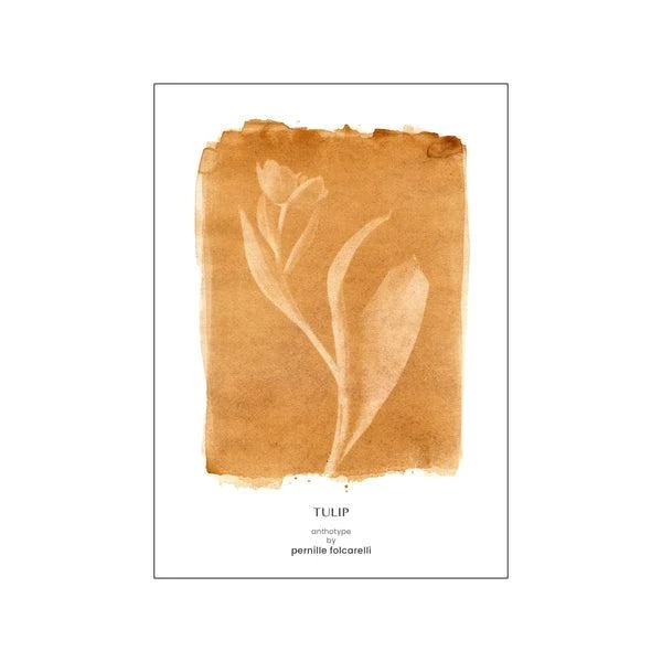 Tulip Ochre Original Artist Poster - Image 2