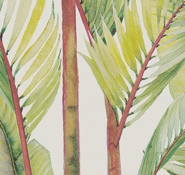 Madagascar Exploration Mural Wallpaper - Image 4