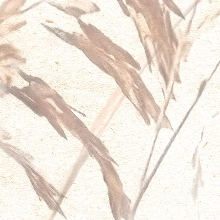 Dune Grass Mural Wallpaper - Image 4