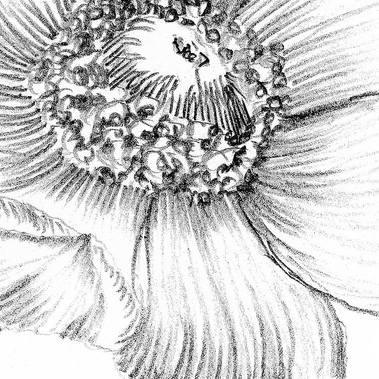 Embroidery Mural Wallpaper - Image 5