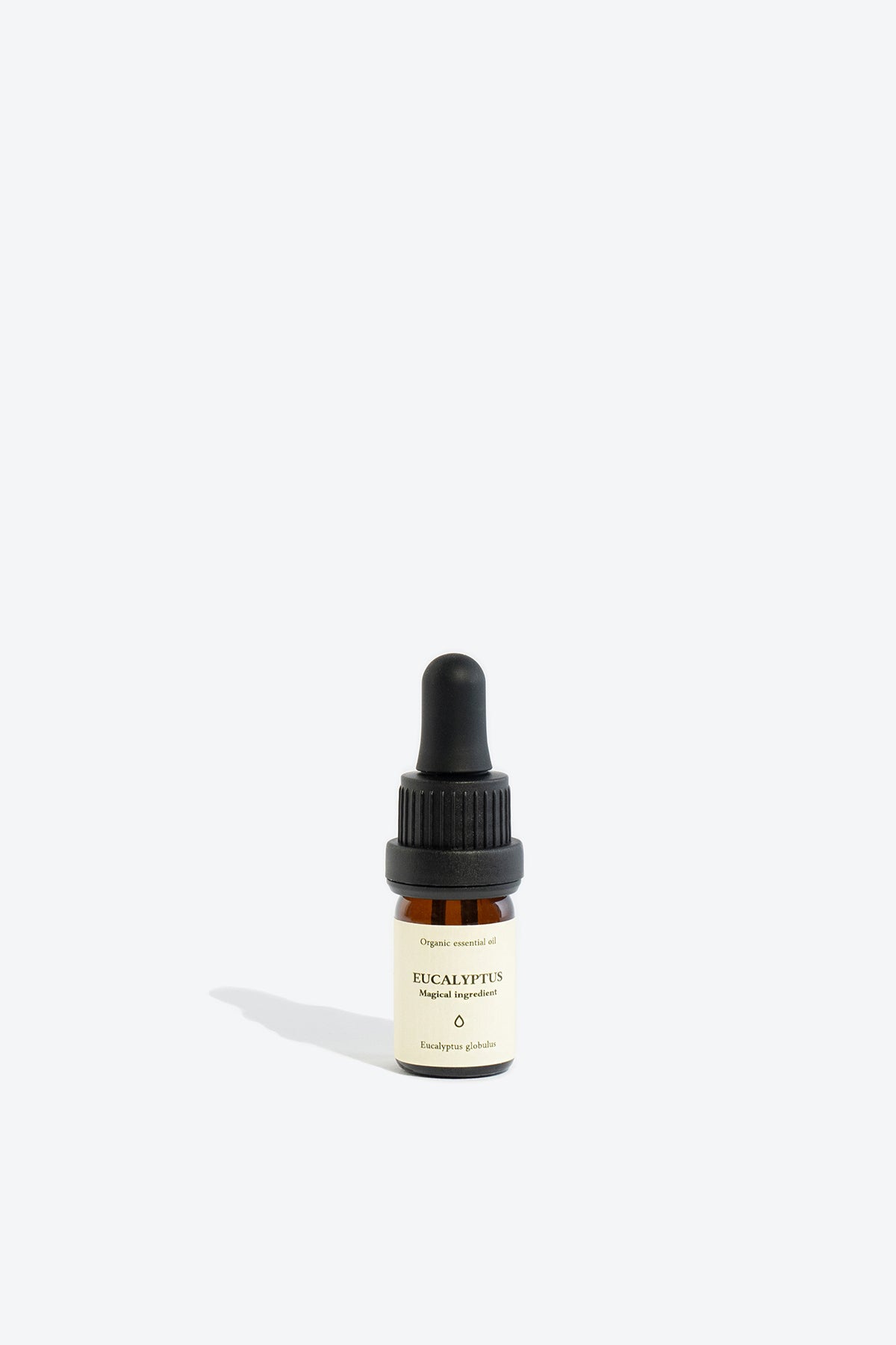 Eucalyptus Organic Essential Oil - Image 4