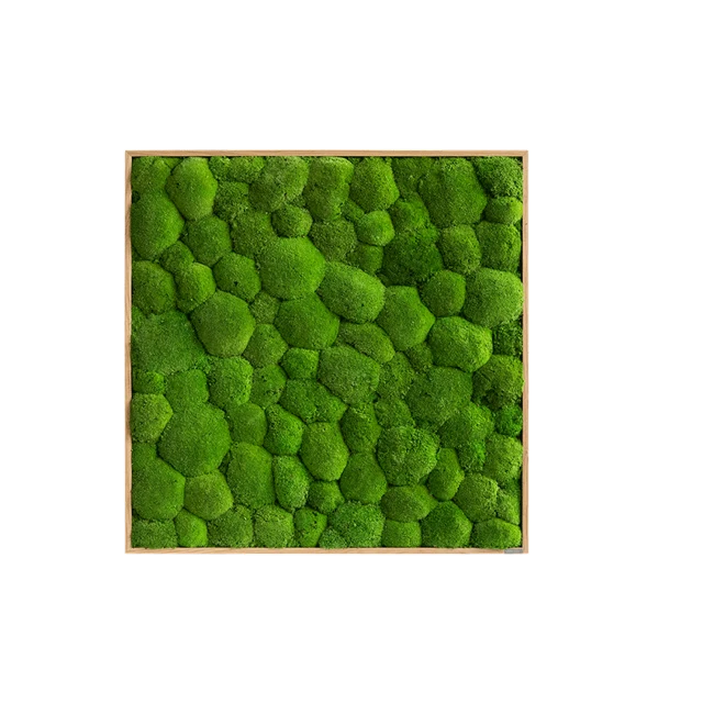 Green Square Moss Art (80cm) - Image 12