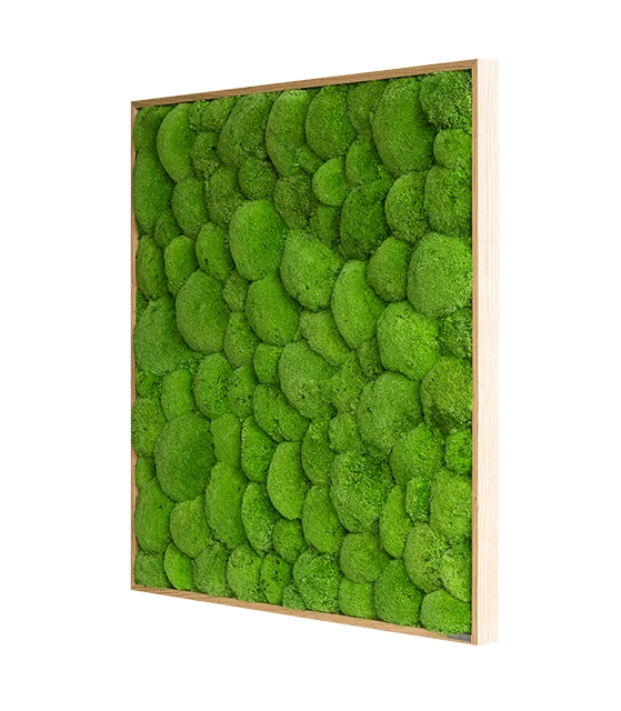 Green Square Moss Art (80cm) - Image 13