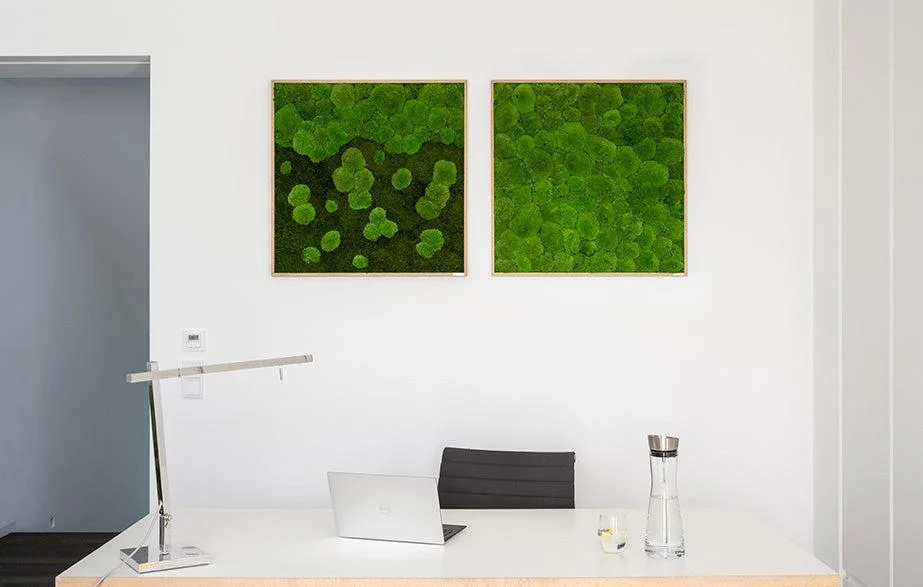 Green Square Moss Art (80cm) - Image 14