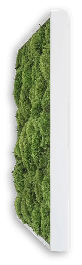 Green Square Moss Art (80cm) - Image 5