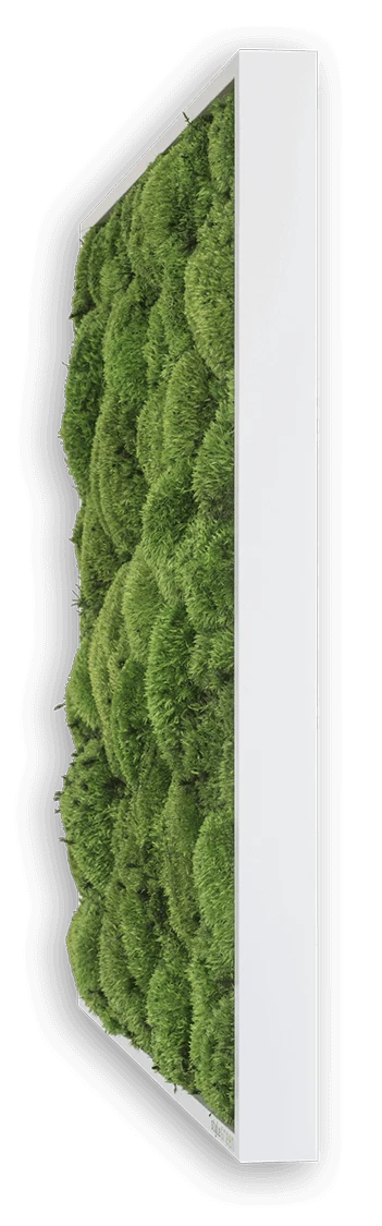 Forest Green Moss Wall Art (100x60cm) - Image 4