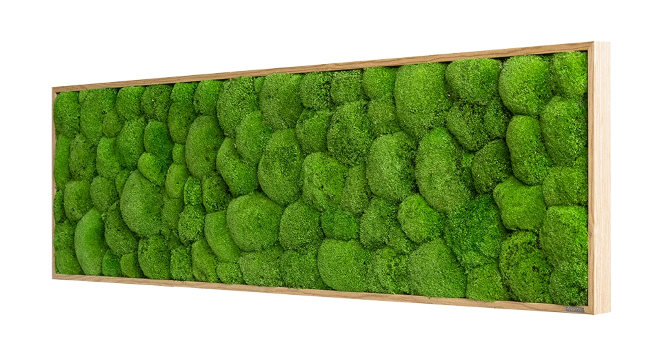 Wide Green Moss Wall Art (140x40cm) - Image 11