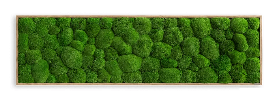 Wide Green Moss Wall Art (140x40cm) - Image 12