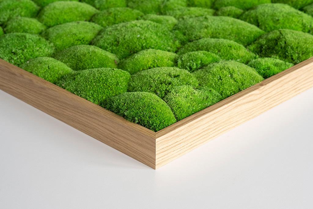 Wide Green Moss Wall Art (140x40cm) - Image 13