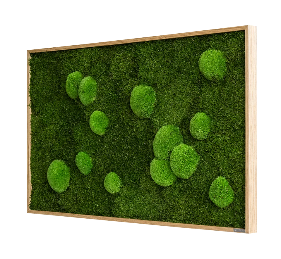 Forest Bun Moss Wall Art - Image 10