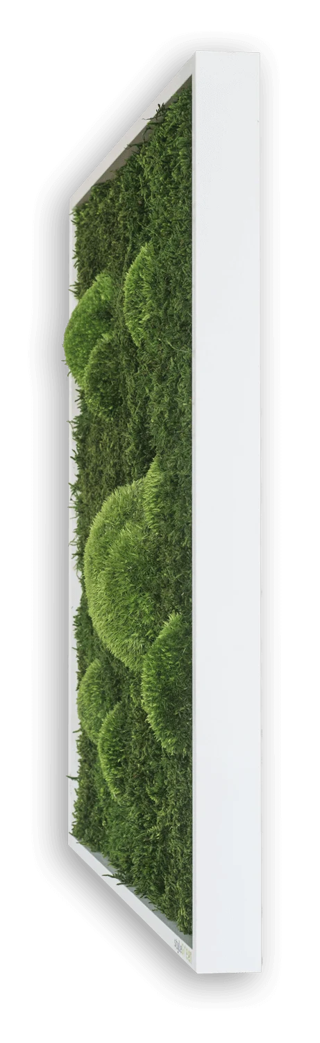 Forest Bun Moss Wall Art - Image 4