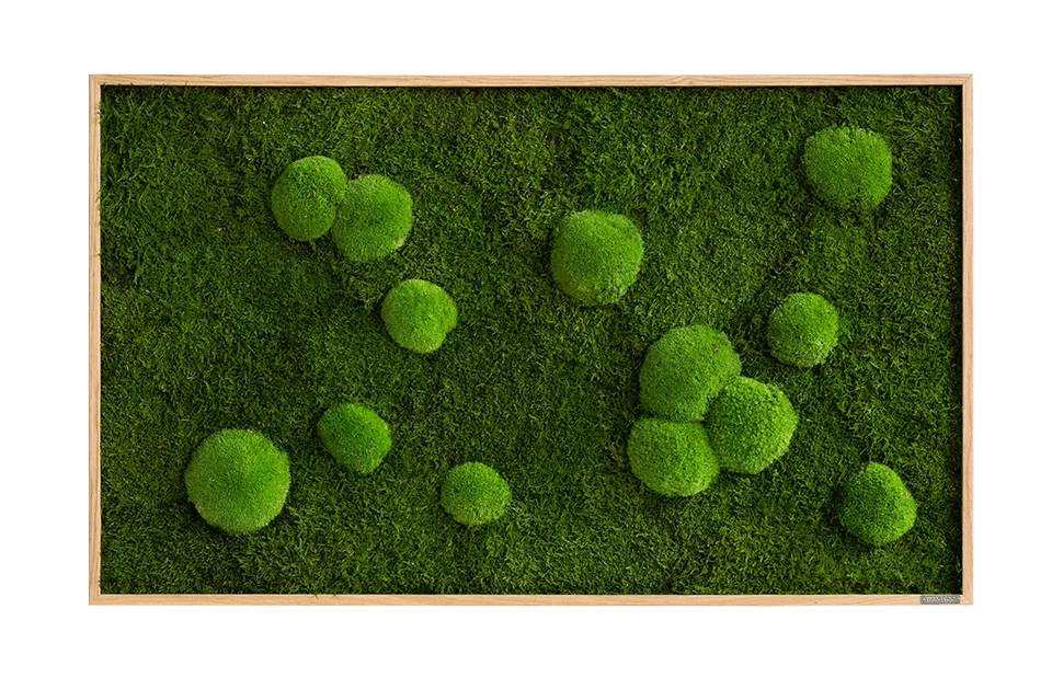 Forest Bun Moss Wall Art - Image 9
