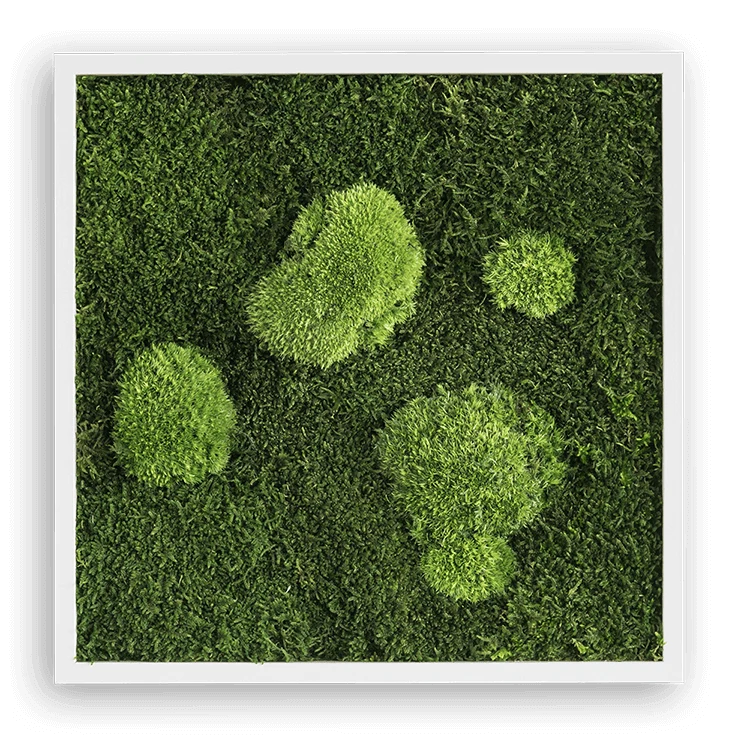 Forest Square Moss Wall Art (35cm) - Image 3