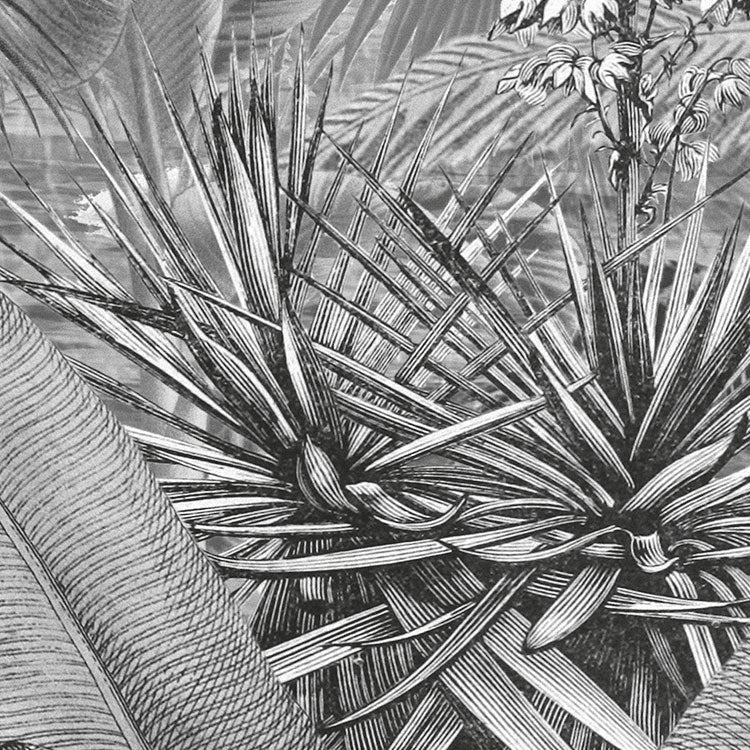 Frais Black and White Jungle Mural - Image 7