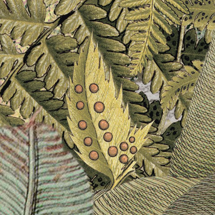 Frais Caribbean Mural Wallpaper - Image 8