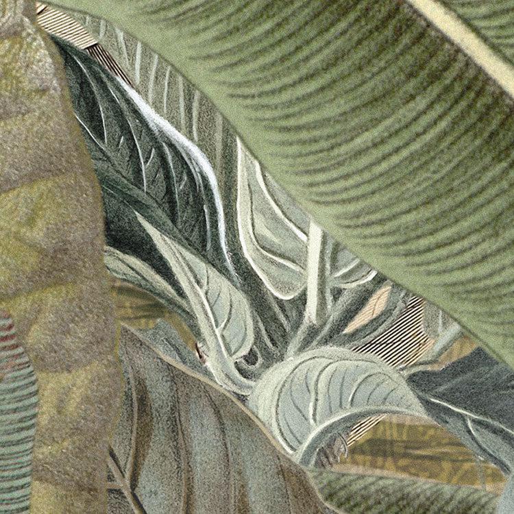 Frais Caribbean Mural Wallpaper - Image 9