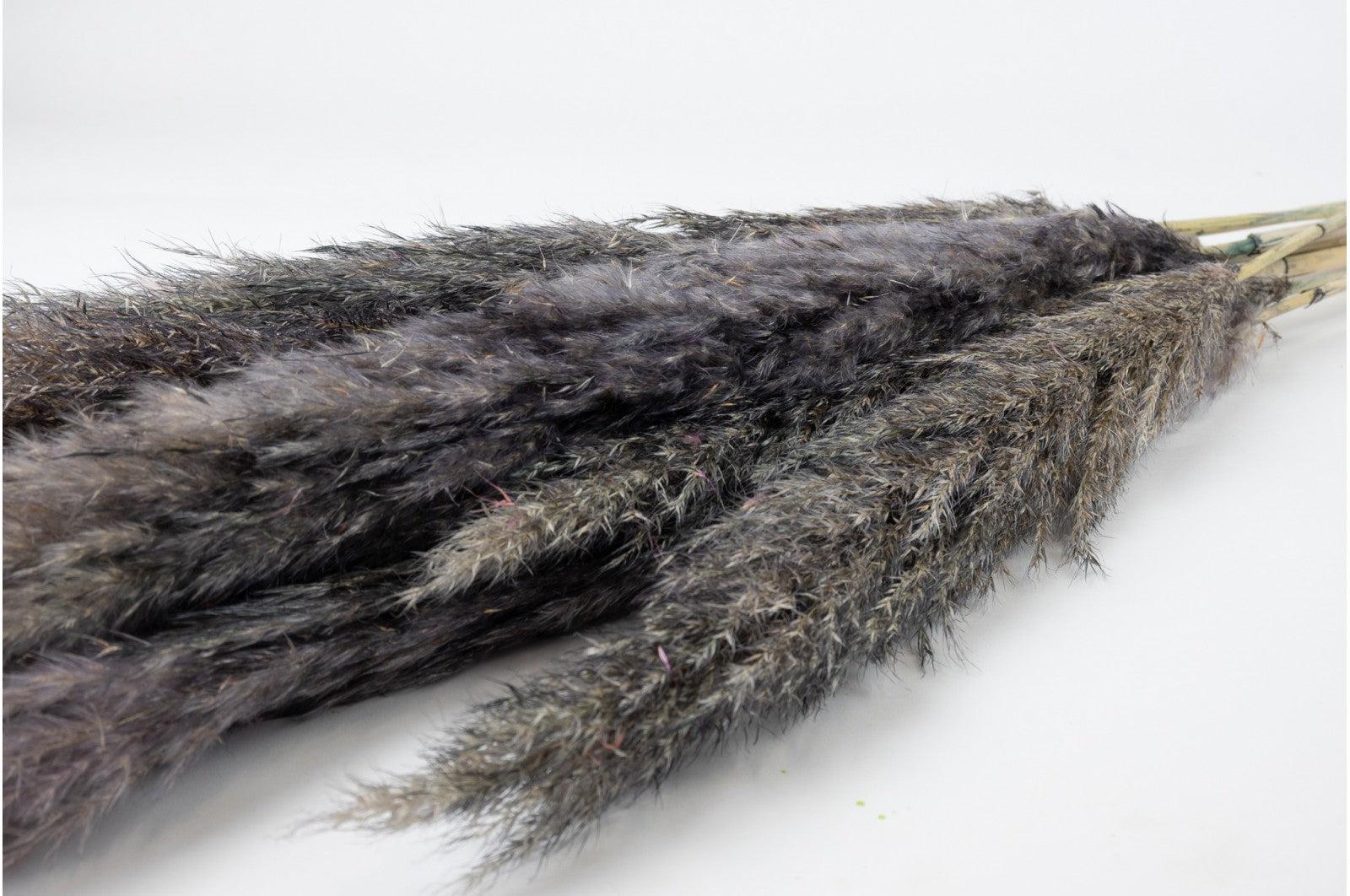 French Grey Pampas Bouquet - Image 4