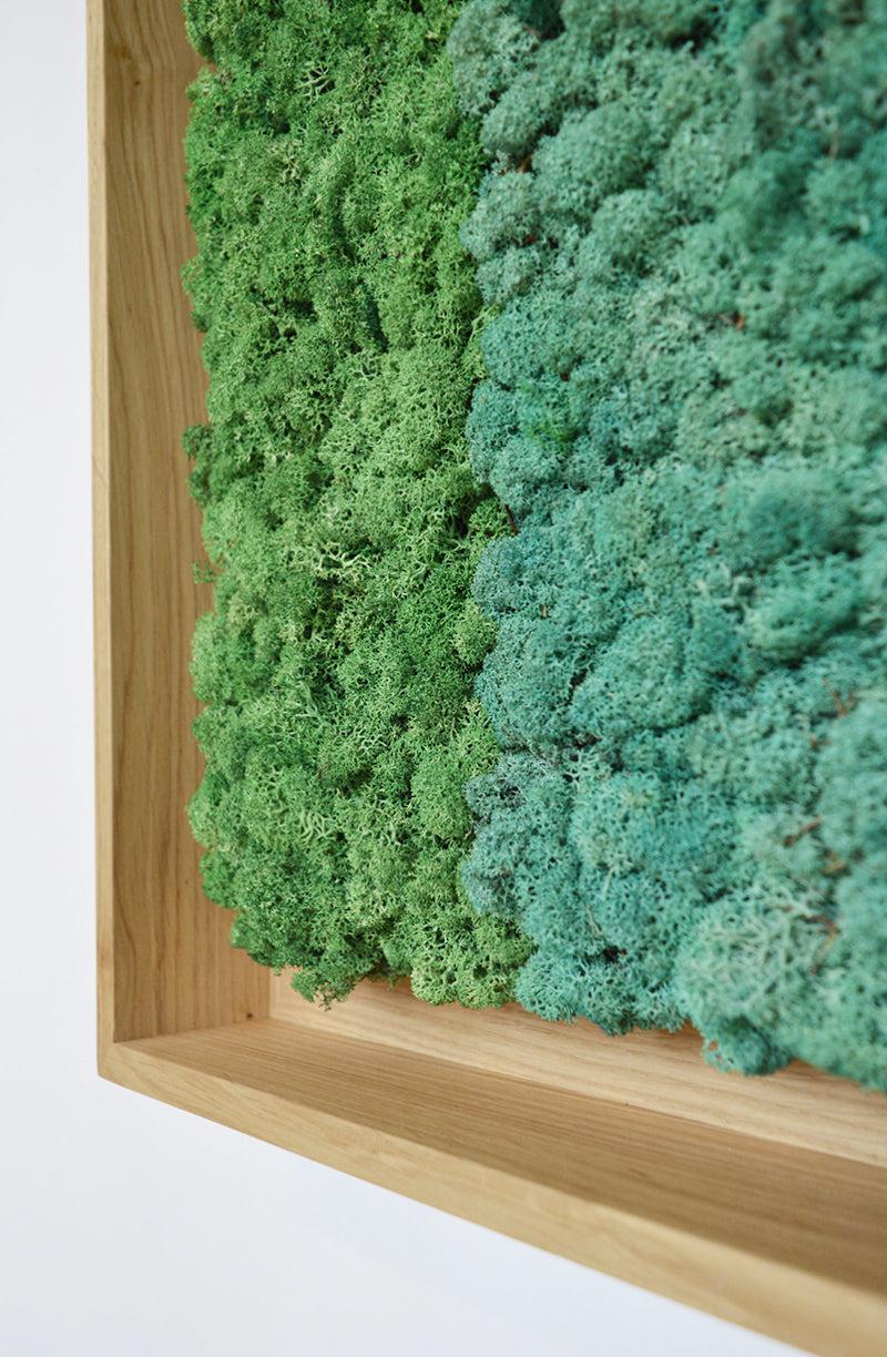 Geometric Framed Moss Wall Art (Series C) - Image 10