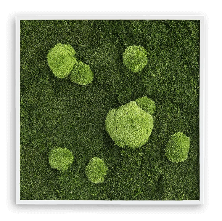 Forest Square Moss Wall Art (55cm) - Image 3