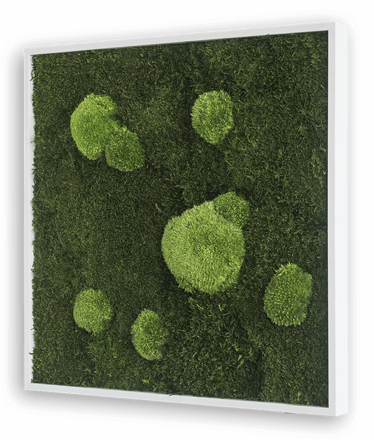 Forest Square Moss Wall Art (55cm) - Image 4