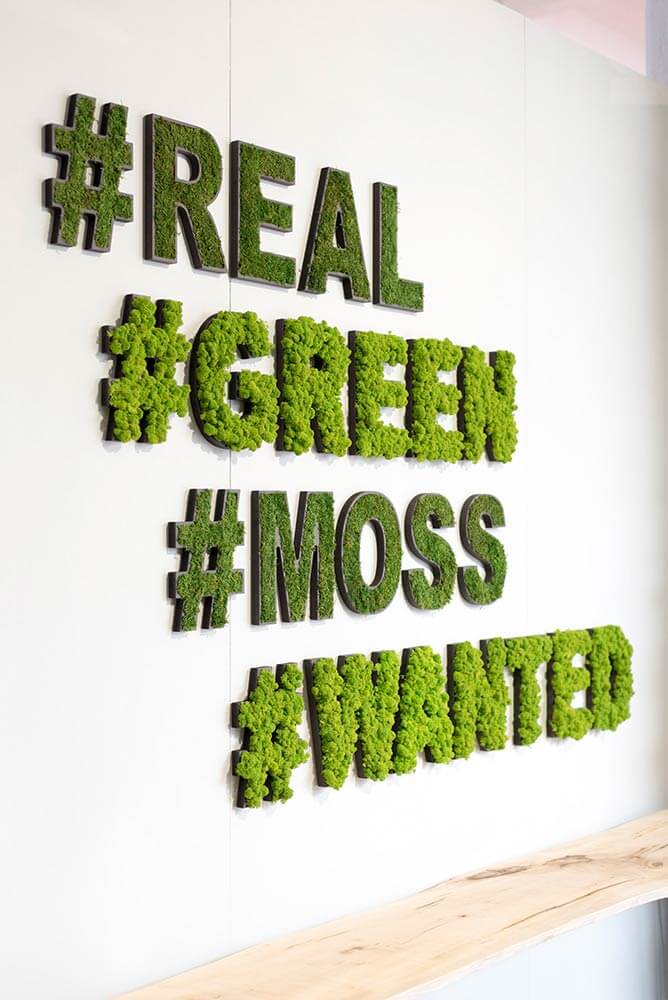 Moss Letters and Symbols Wall Art - Image 3