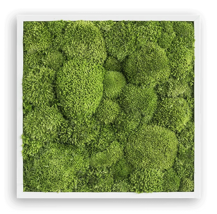 Green Square Moss Art (35cm) - Image 3