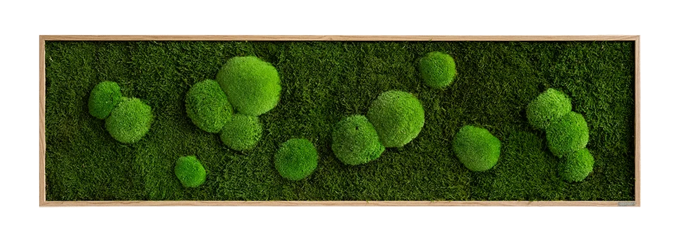 Green Wide Moss Wall Art (140x40cm) - Image 10