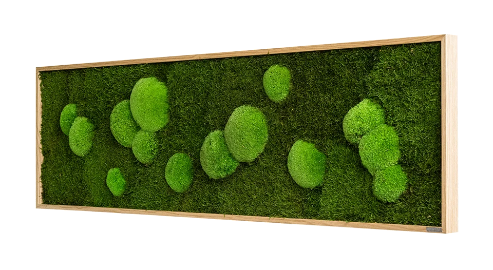 Green Wide Moss Wall Art (140x40cm) - Image 11