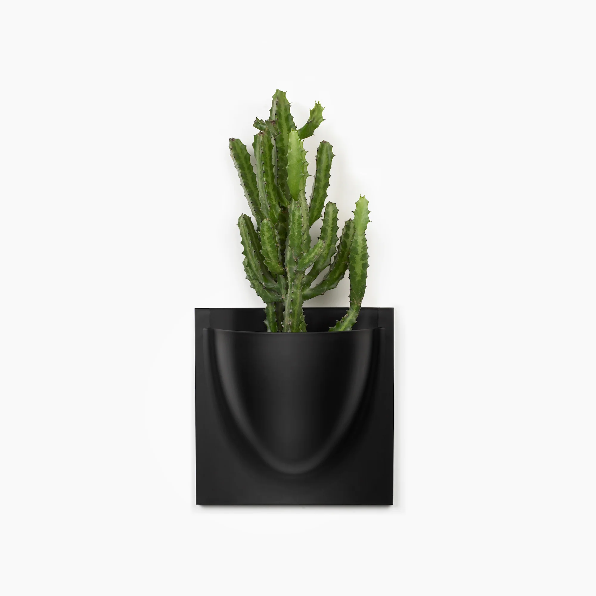 Grey VertiPlant Bio Wall Container - Image 7