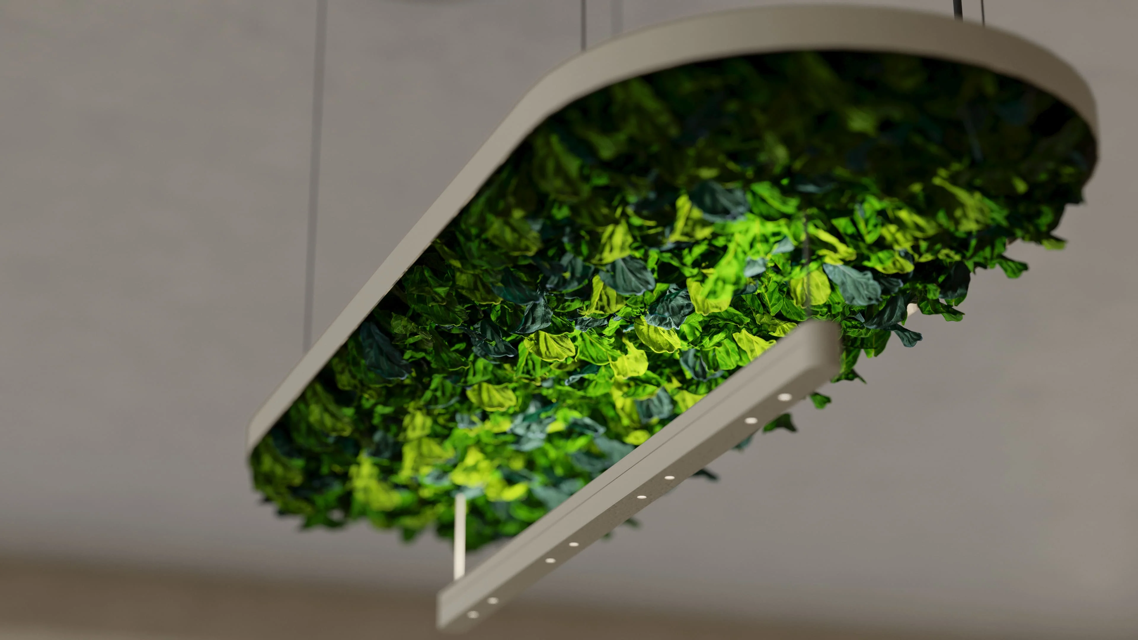 Hoverlight Suspended Luminaire — Reindeer Moss - Image 12