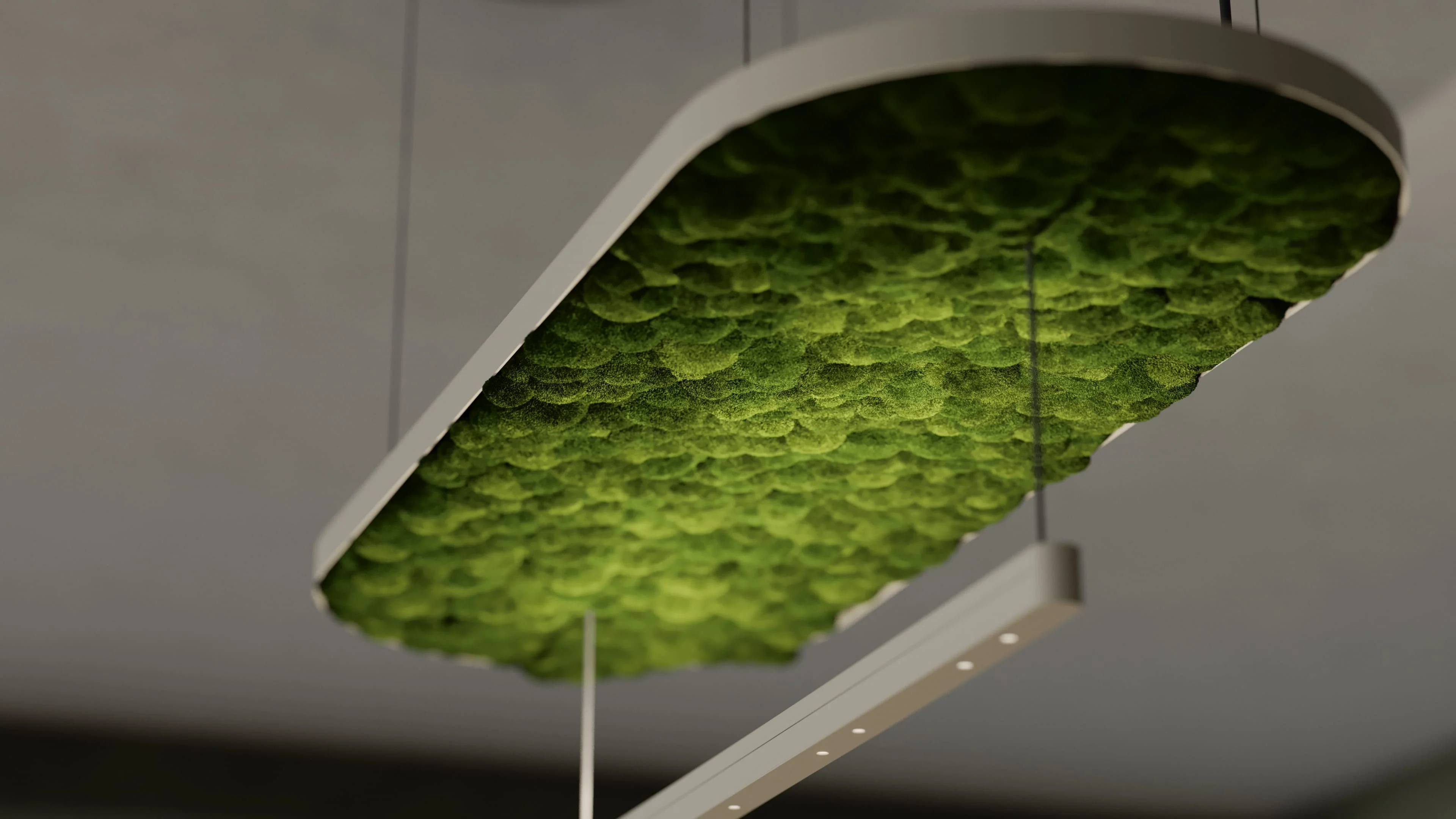 Hoverlight Suspended Luminaire — Ball Moss - Image 4