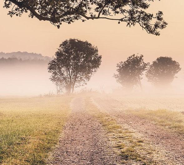 Inspired Walk Mural Wallpaper - Image 5