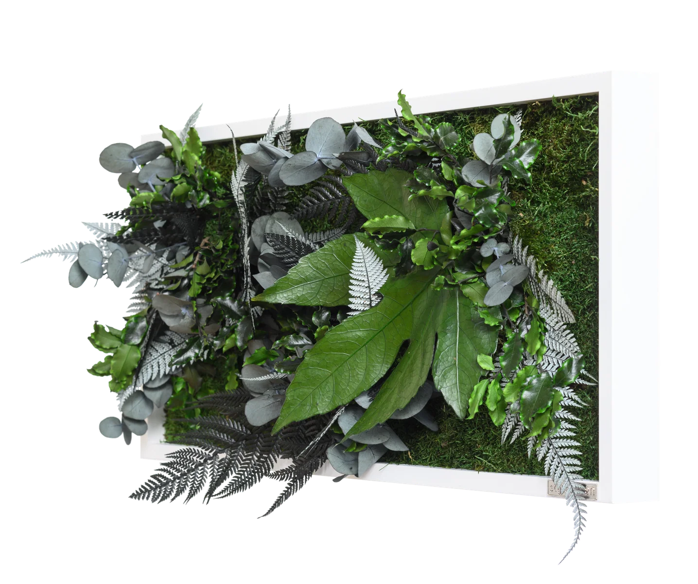 Jungle Rectangular Plant and Moss Wall Art (55x27cm) - Image 2