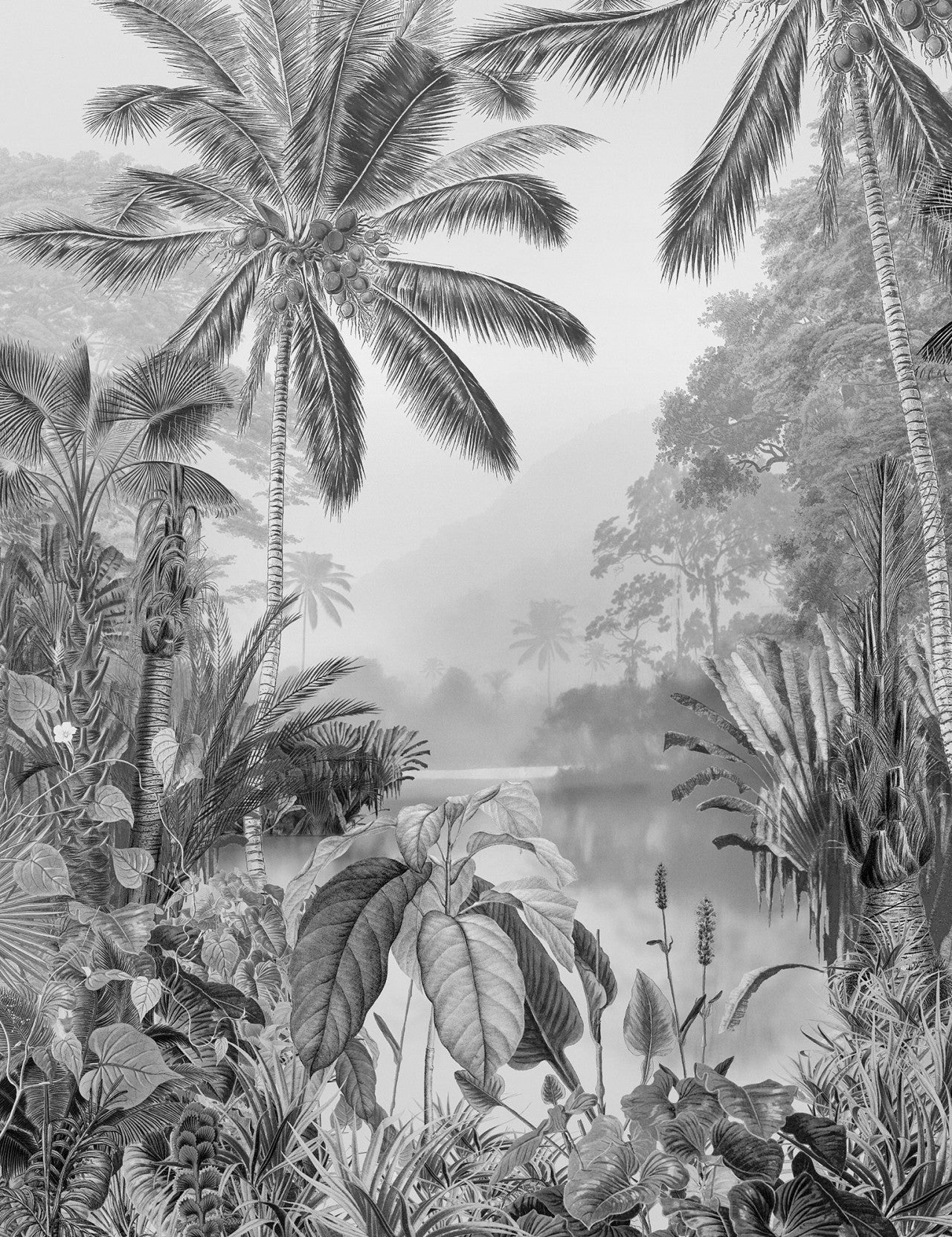 Lac Tropical Black & White Mural Wallpaper - Image 2