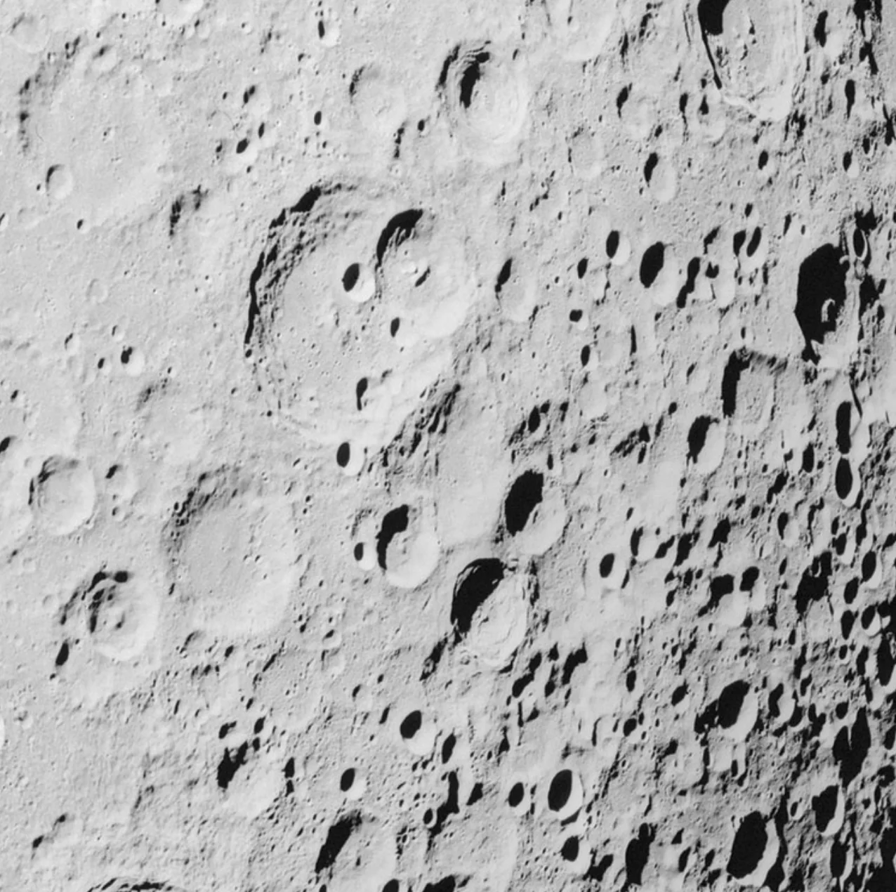 Luna Moon Circle Wallpaper (Self-Adhesive) - Image 4