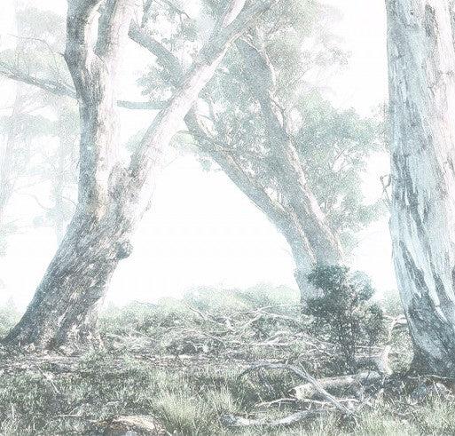 Magic Trees Mural Wallpaper - Image 5