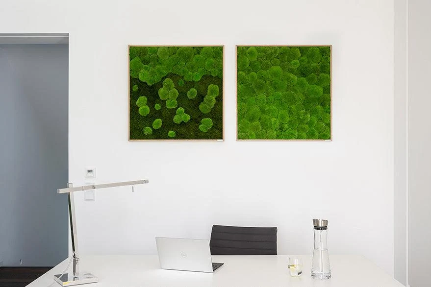 Merging Square Moss Wall Art (80cm) - Image 10