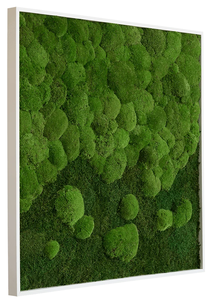 Merging Square Moss Wall Art (80cm) - Image 4