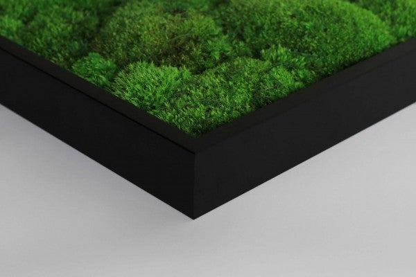 Merging Square Moss Wall Art (80cm) - Image 5