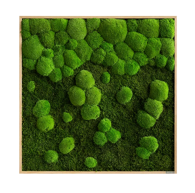 Merging Square Moss Wall Art (80cm) - Image 7