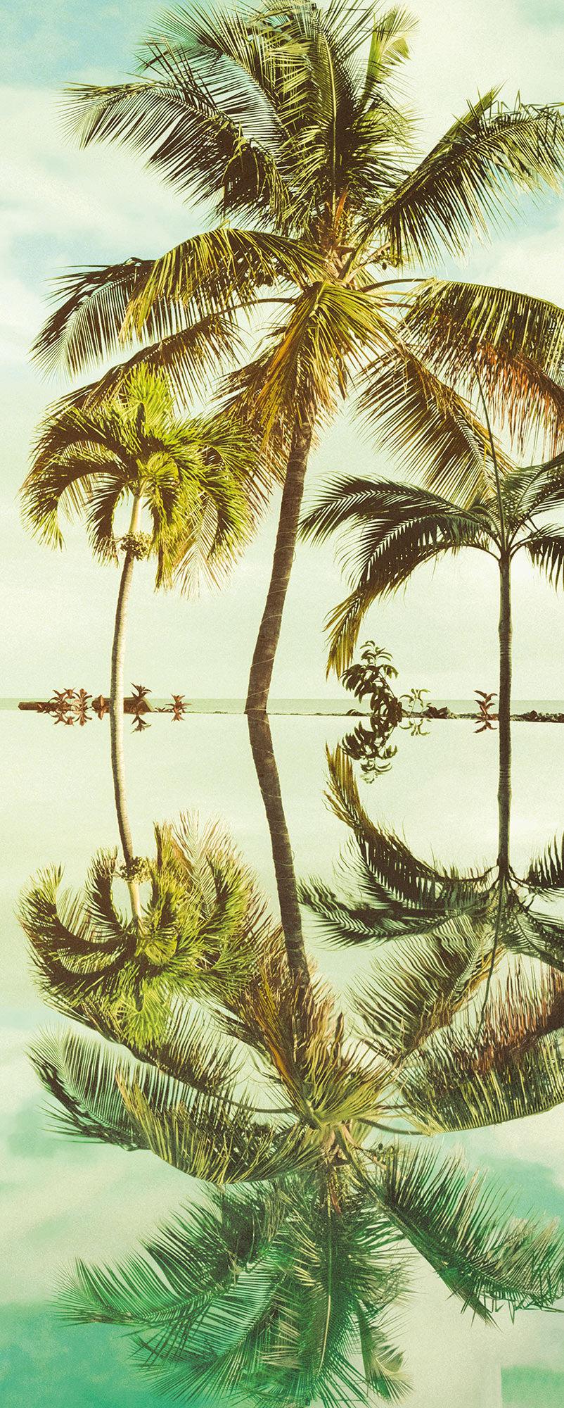 Mirror in the Palms Mural Wallpaper - Image 5