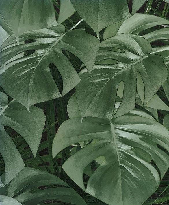 Garden of Monstera Mural Wallpaper - Image 4