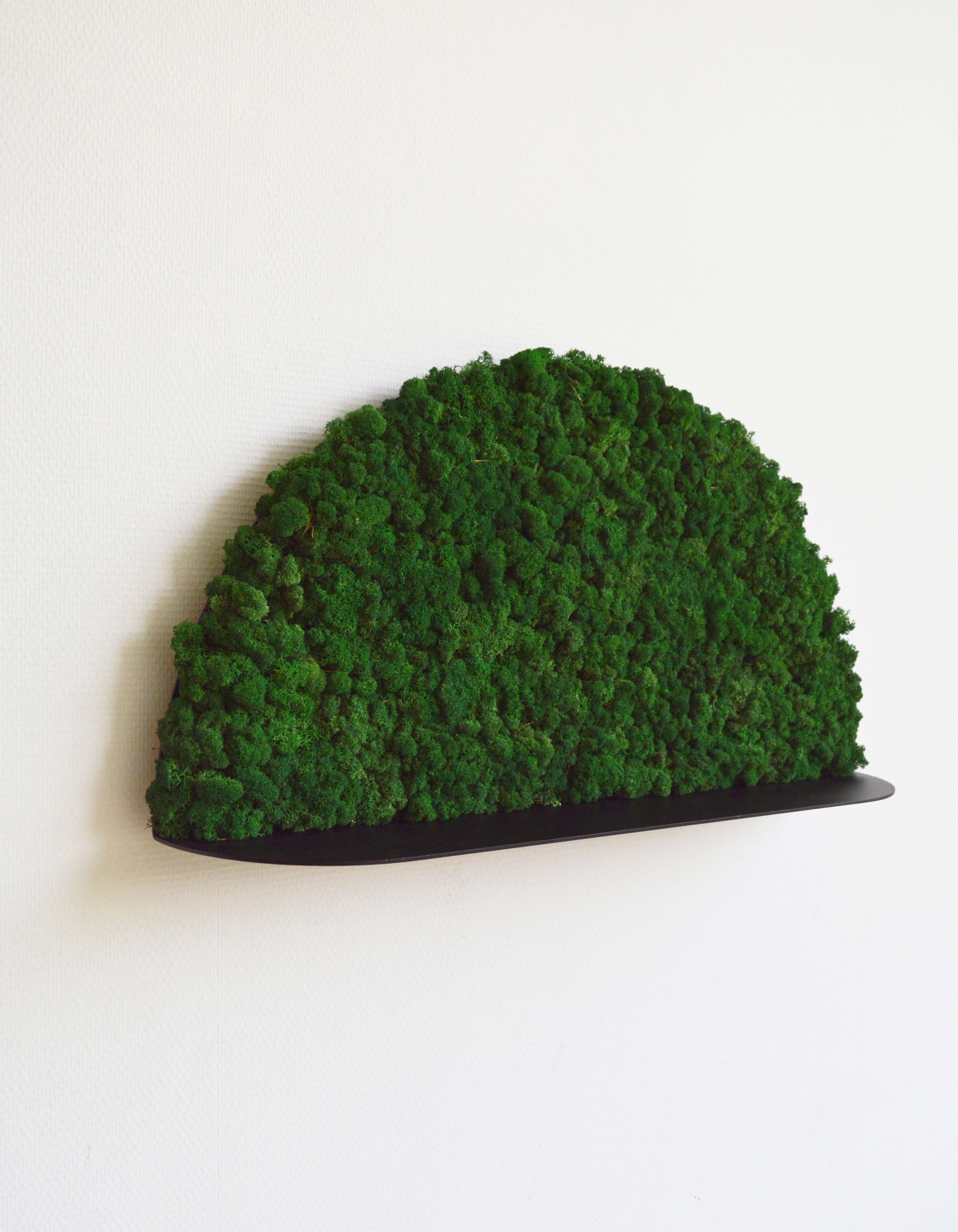 Moony Moss Art & Acoustic Shelf - Image 4