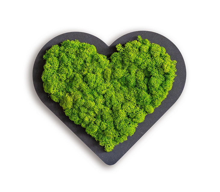 Moss Heart - Image 3