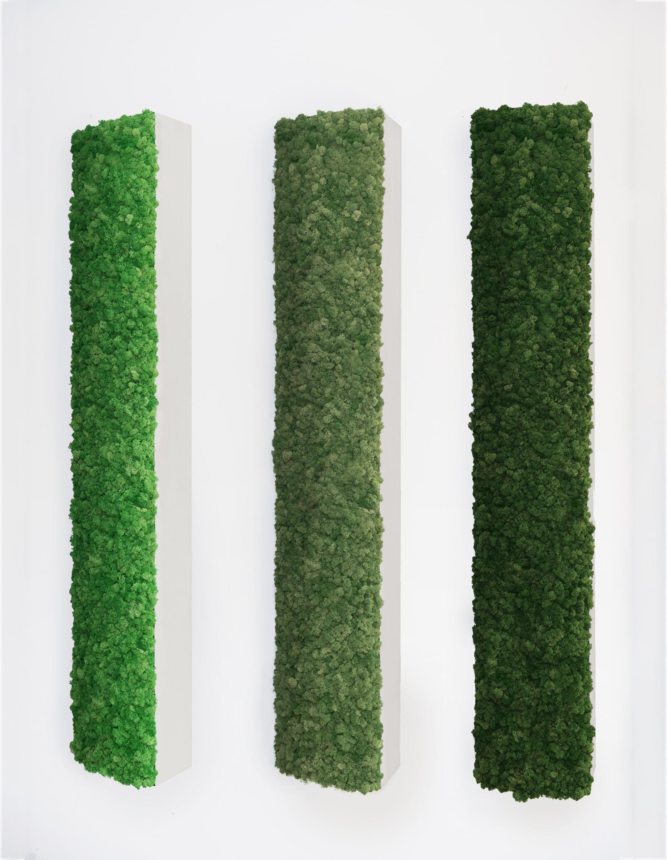 Wall Pillars Plant & Moss Wall Art - Image 20