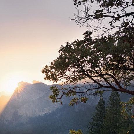Mountain Meditation Mural Wallpaper - Image 5